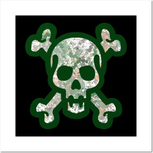 Camoskull Posters and Art